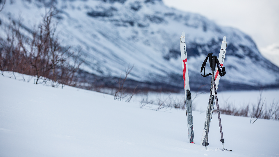 Tour skiing in Laponia